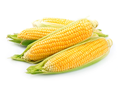 Sweetcorn